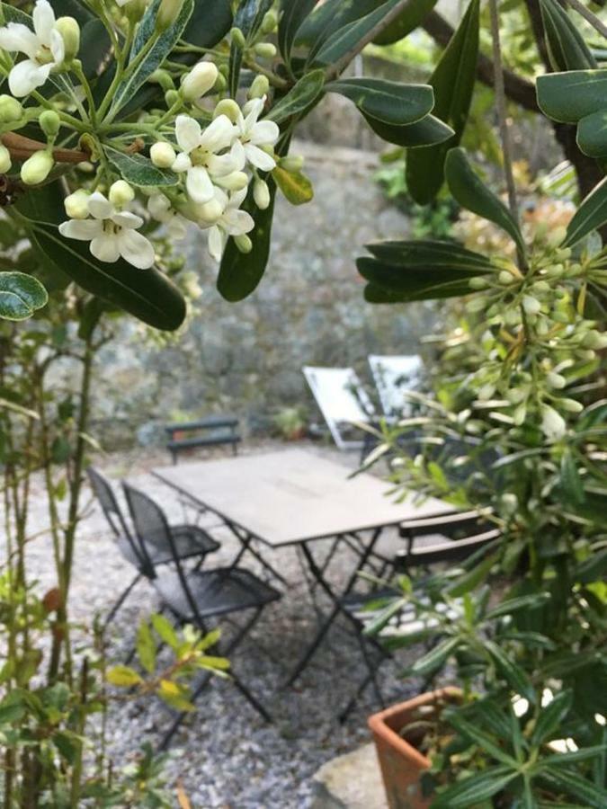Il Nido - By The Sea - Ac Apartman Monterosso al Mare Kültér fotó